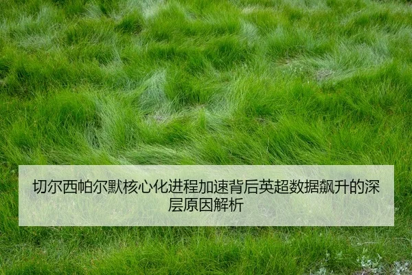 切尔西帕尔默核心化进程加速背后英超数据飙升的深层原因解析