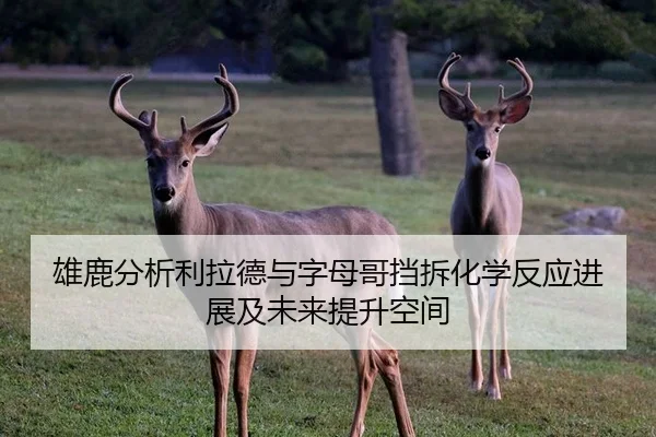 雄鹿分析利拉德与字母哥挡拆化学反应进展及未来提升空间